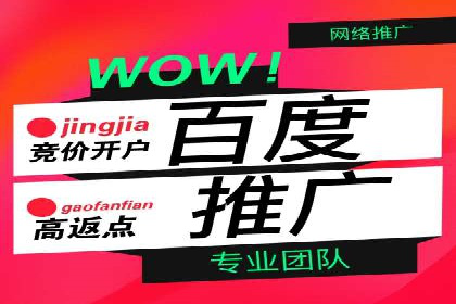 百度信息流广告的成功案例分析